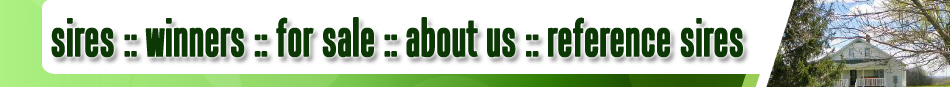 Sires - Winners - For Sale - About Us